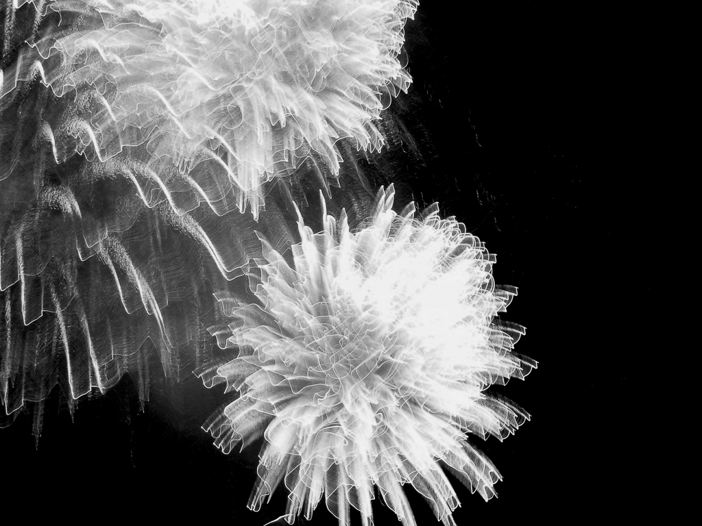 Le emozioni dell'Io_Claudia Chittano foto_Ikebana 1