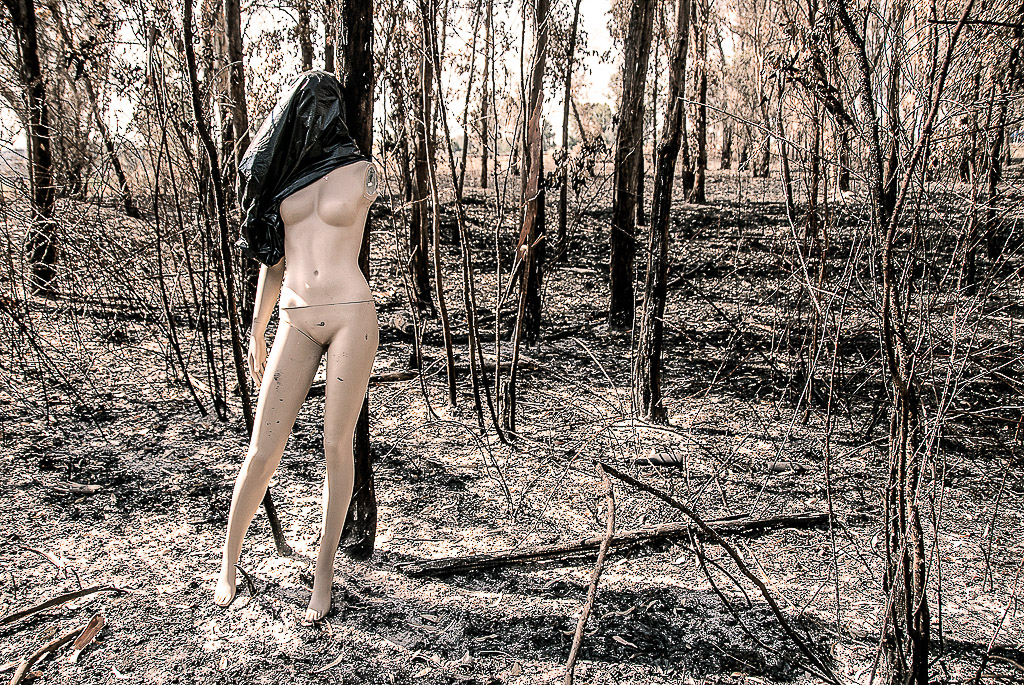 claudia chittano foto, donne, bosco