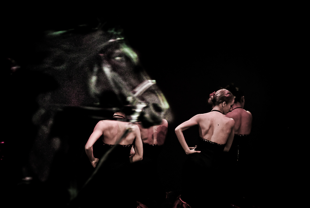 FOTO CIRCO Claudia Chittano fotografia